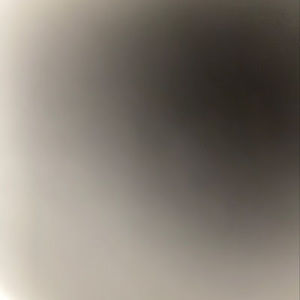 Meet your Posher, Jaxon